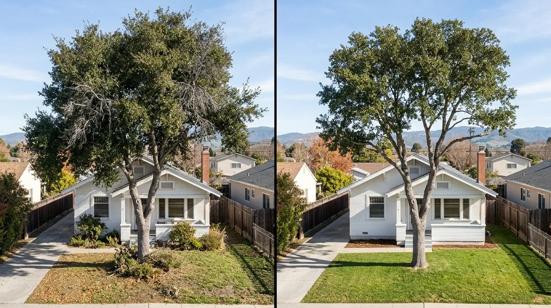 Result tree service in Salinas - Salinas Tree Service